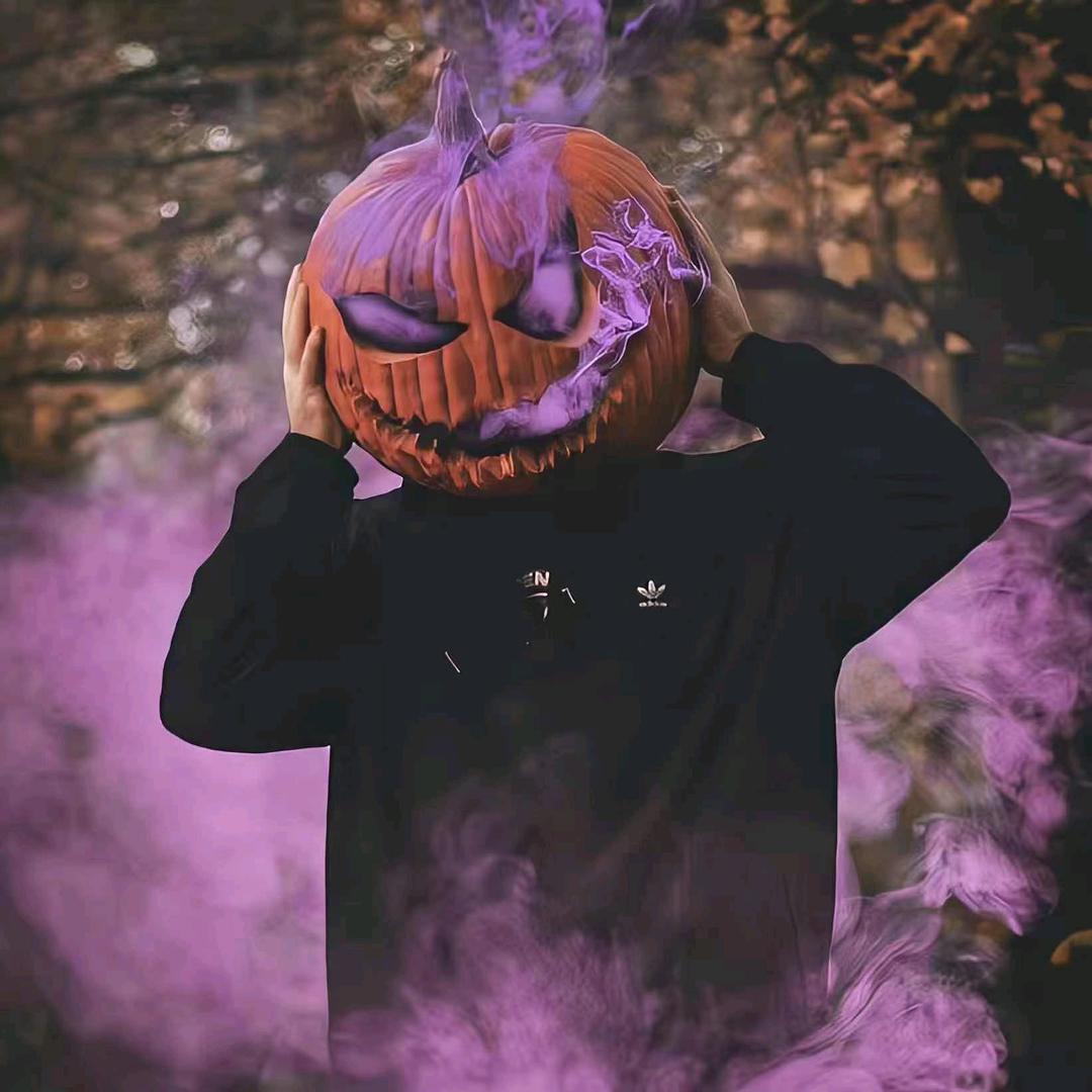 会飞的鱼🐠🐠