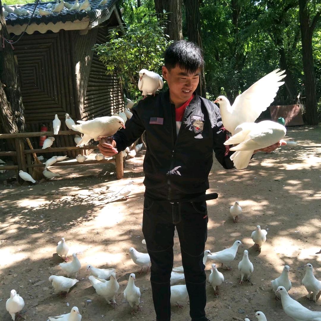 鱼鱼🐠🐠🐠🐠🐠