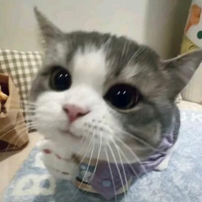 农村浩宇（农民伯伯）