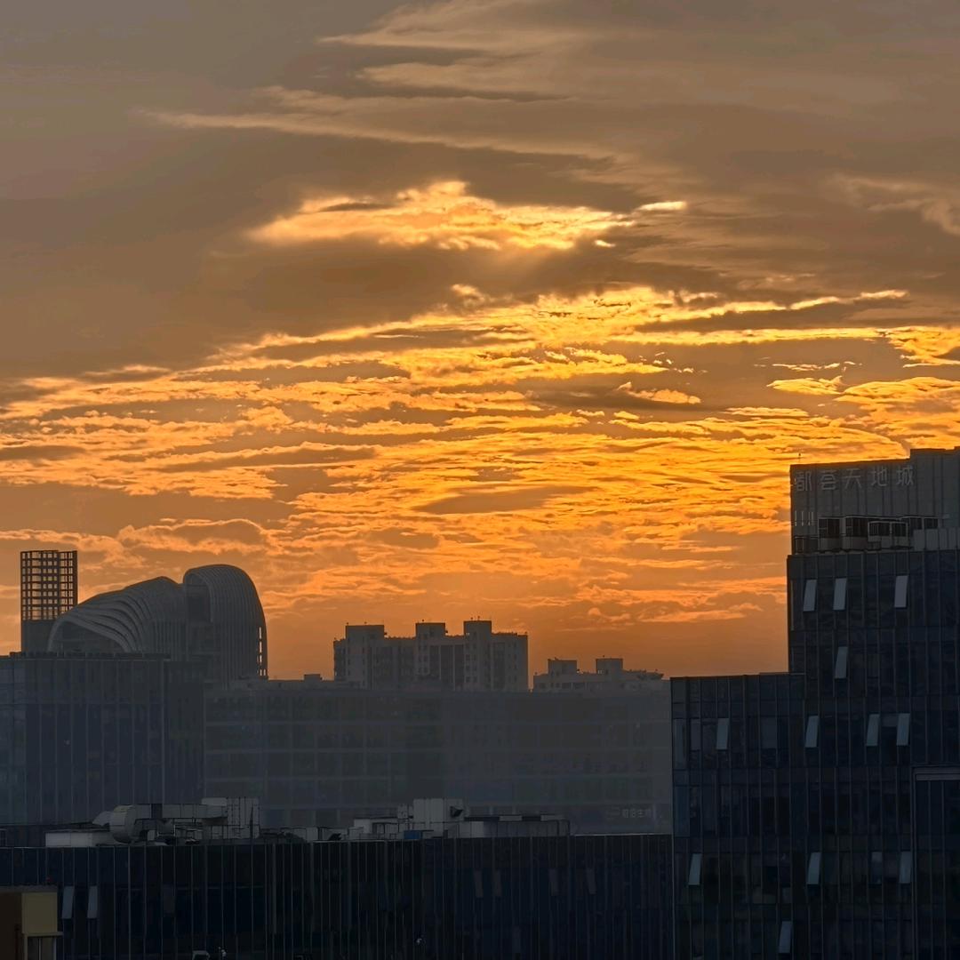 北宋划船的南瓜