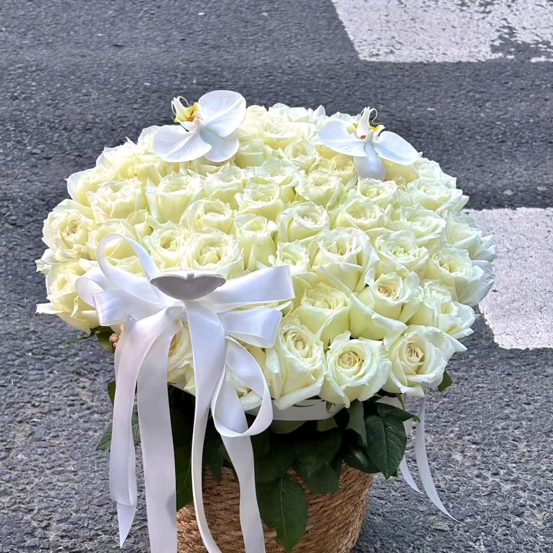 大耳垂百货小达人
