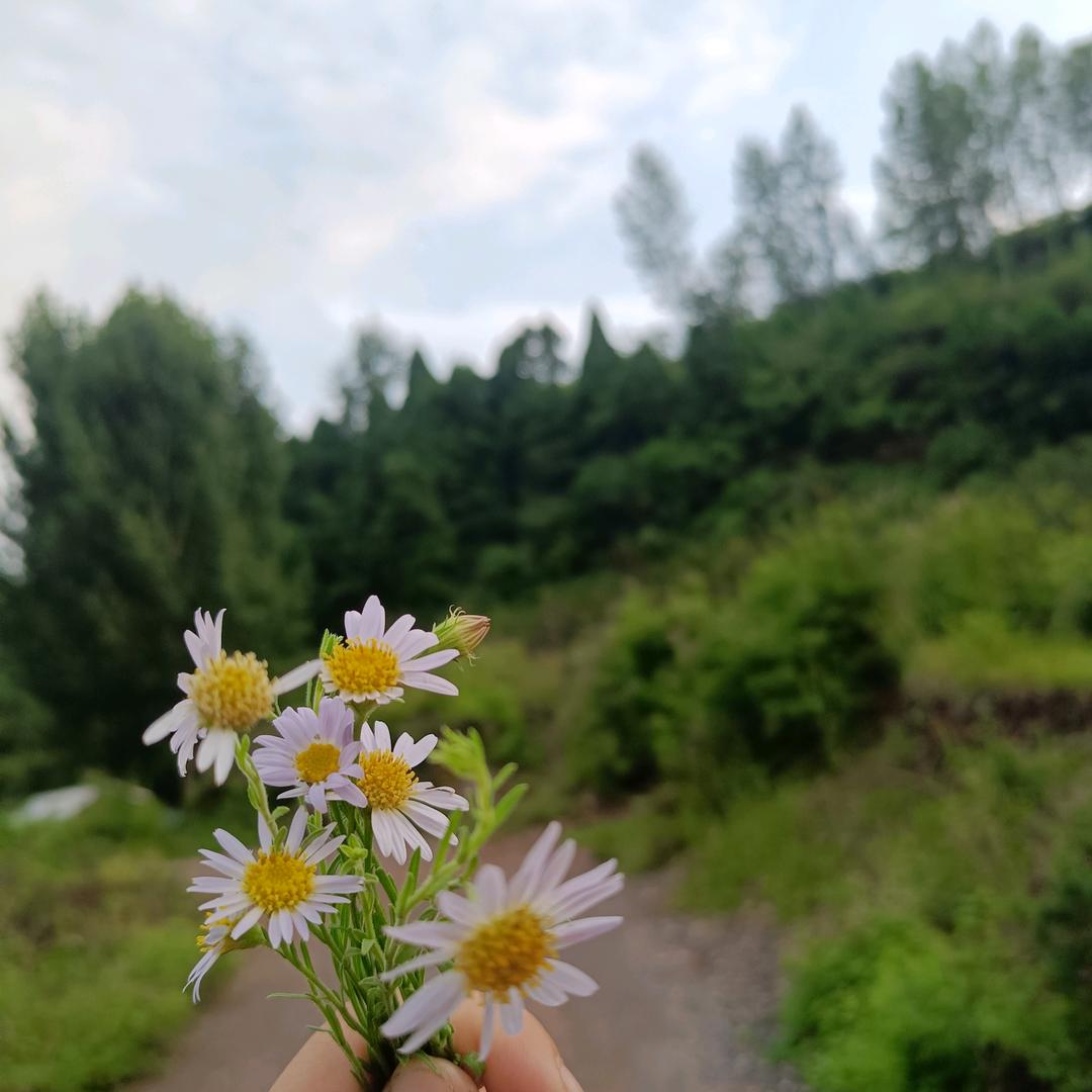 蜜糖不甜