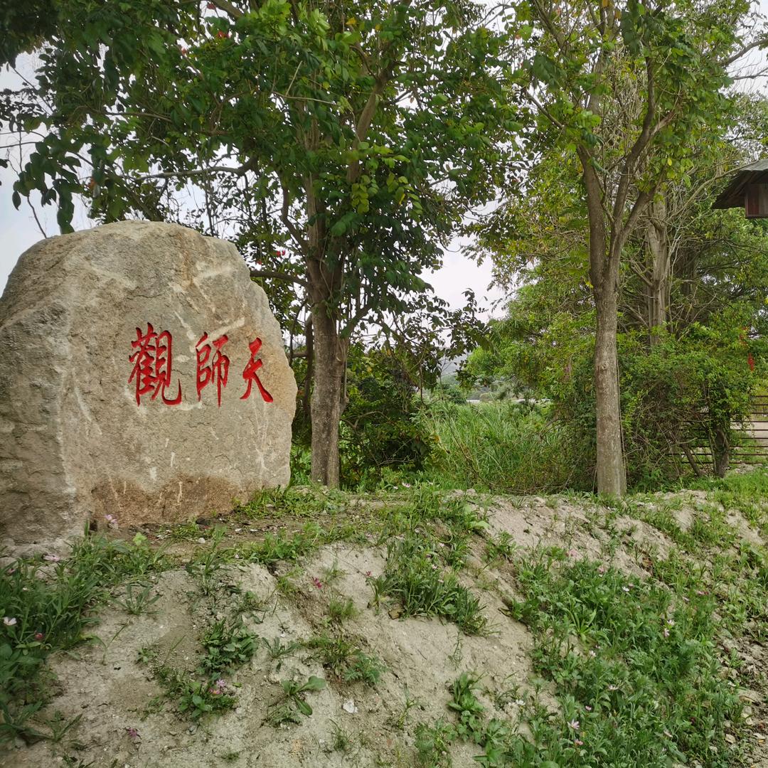 天师观