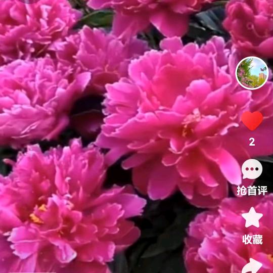 用户6753883184107