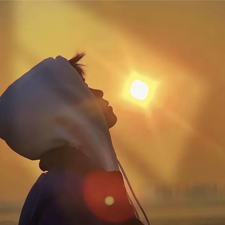 路边一只沸羊羊