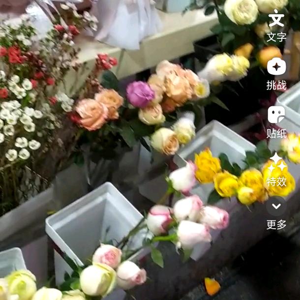 一切顺利四季平安