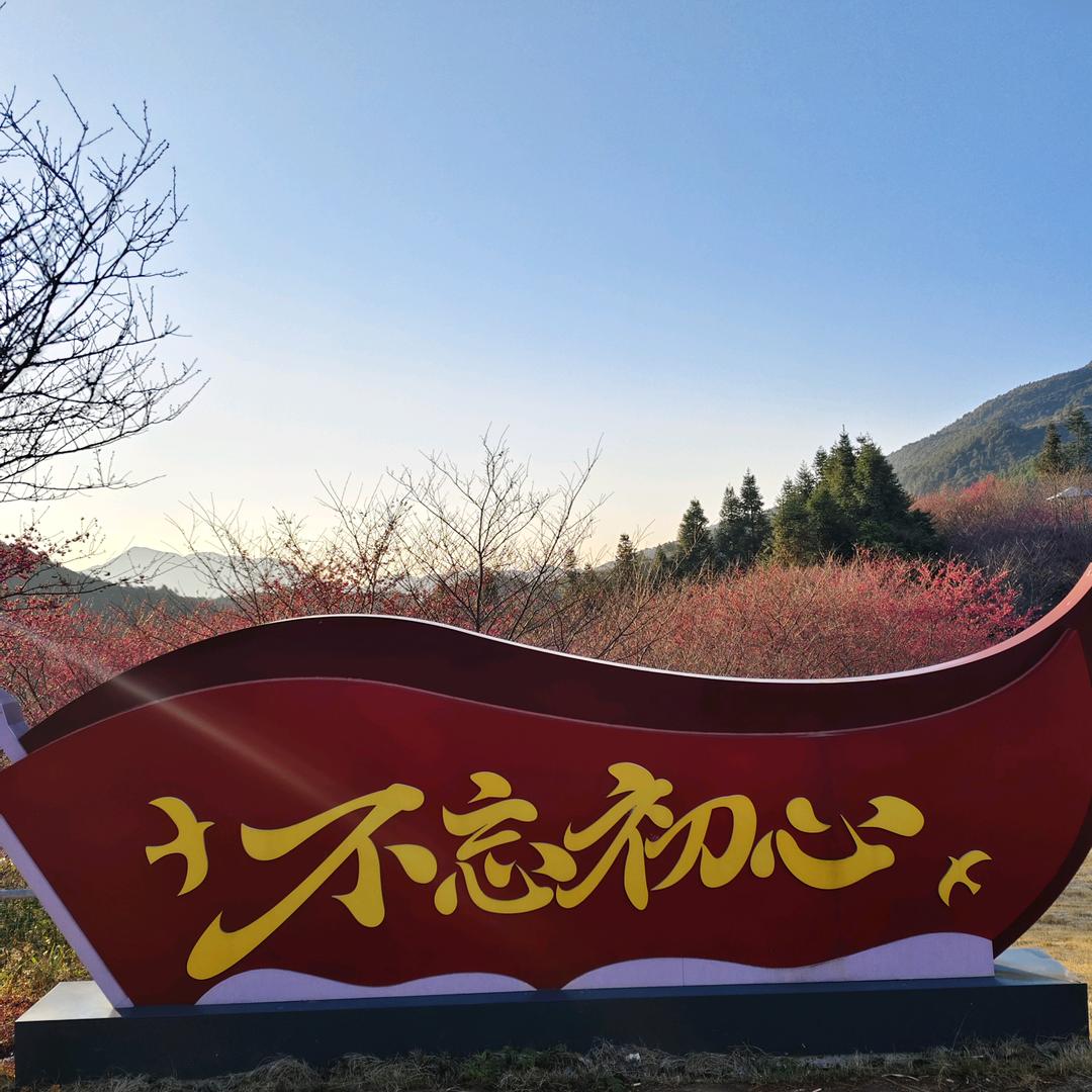 安力全开
