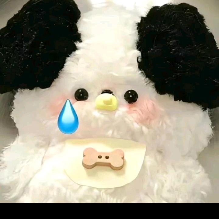 白羊蛋09
