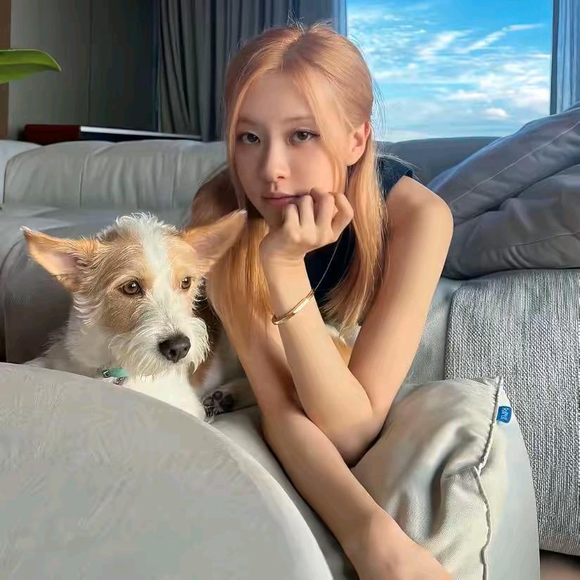 宇宙究极至尊举世无双超级混元无敌霹雳猴⚡