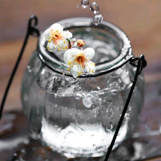 花箱 雨棚 家居配件