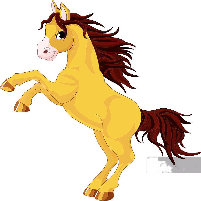 70后🐴丽姐