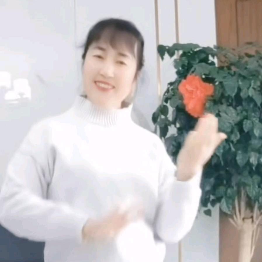 🌺慧🌺