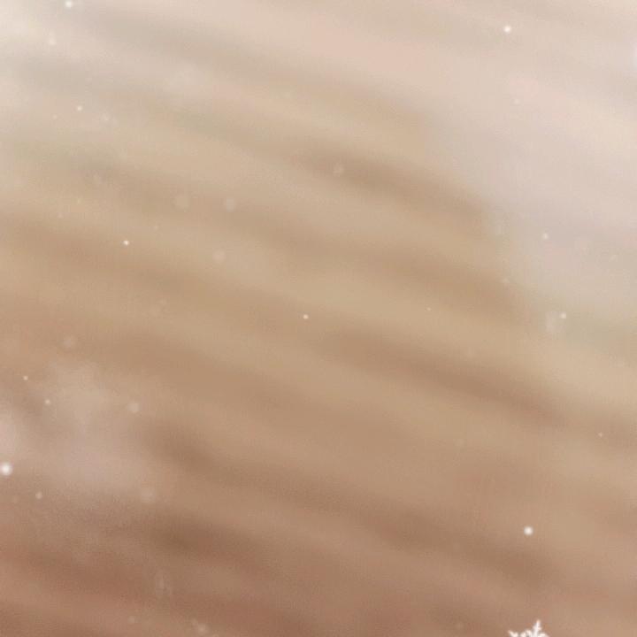 用户