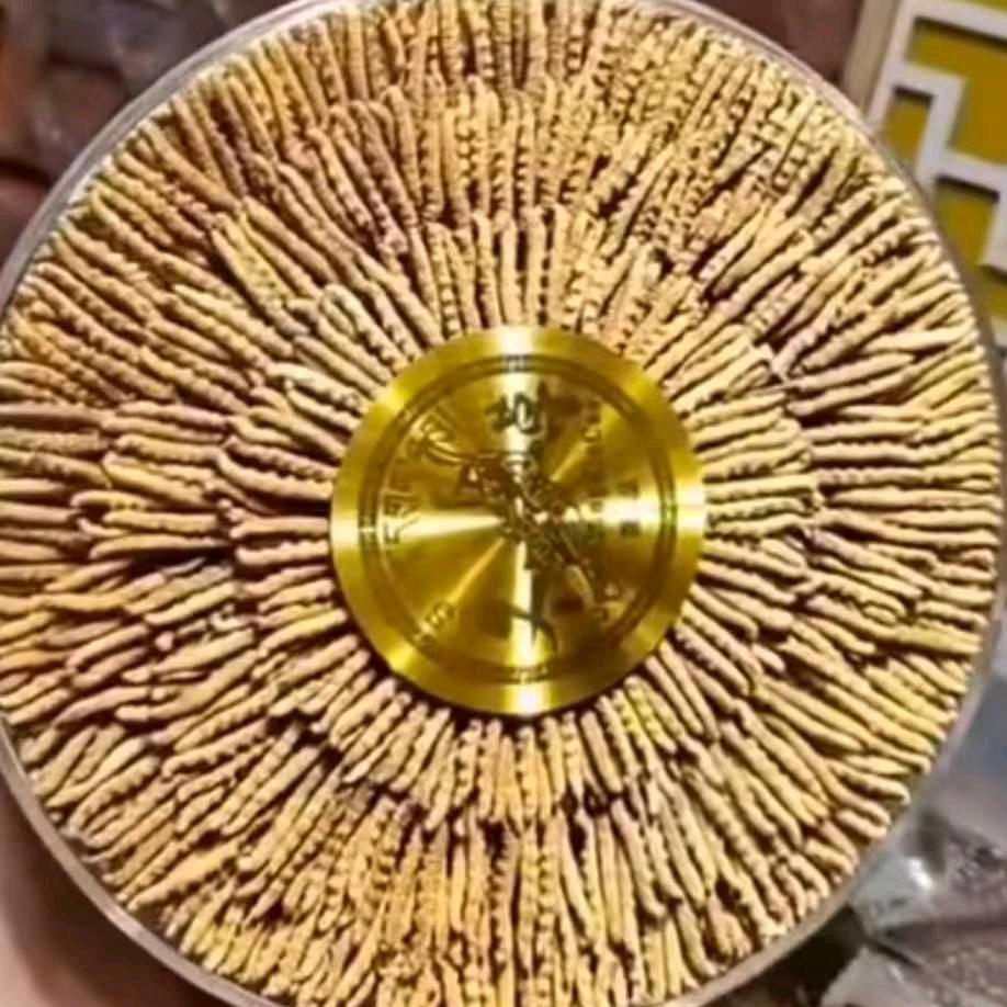 岁月静好