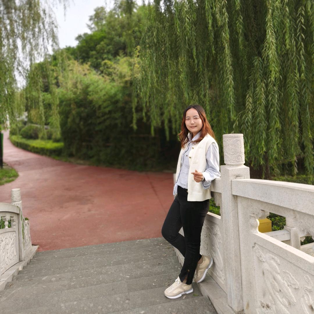 宁风逸影