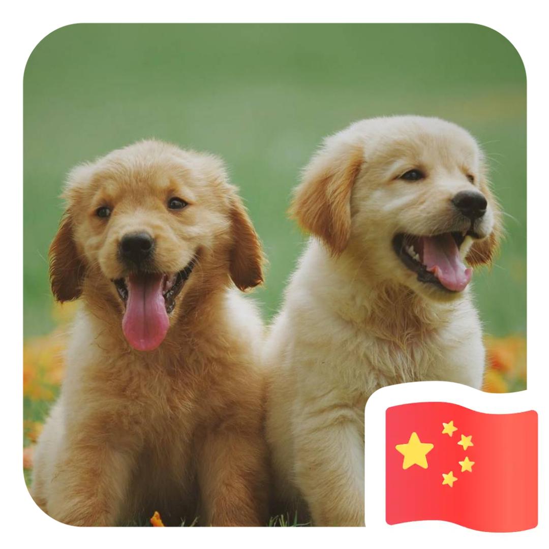 ღ᭄是梦🌾终会🐬醒