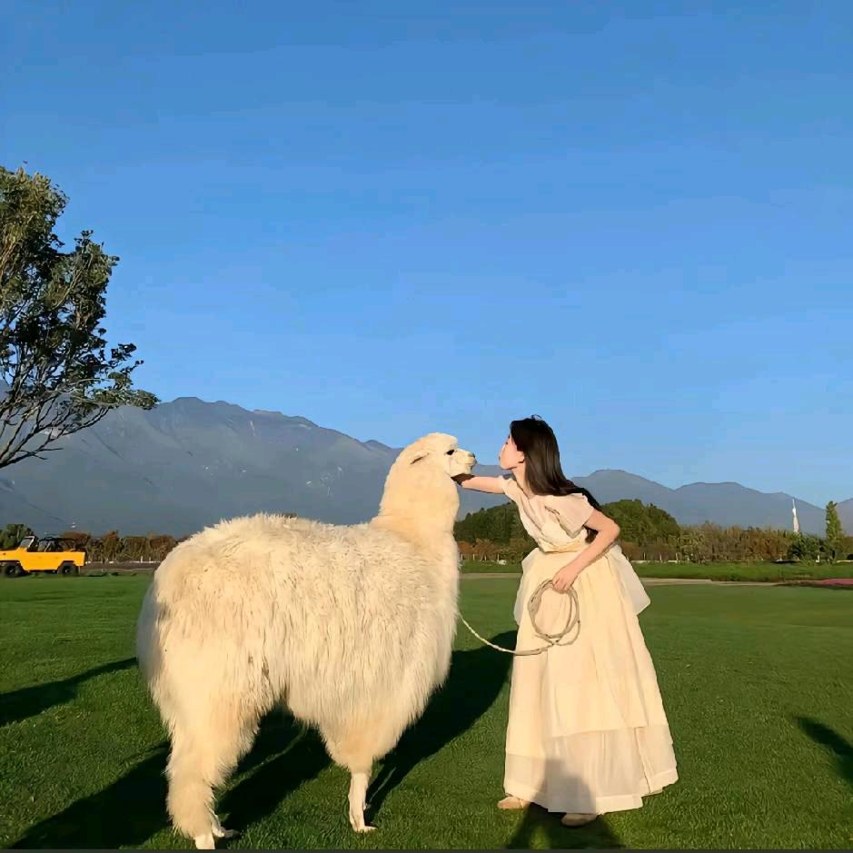 蓝鲸⁰⁰¹¹
