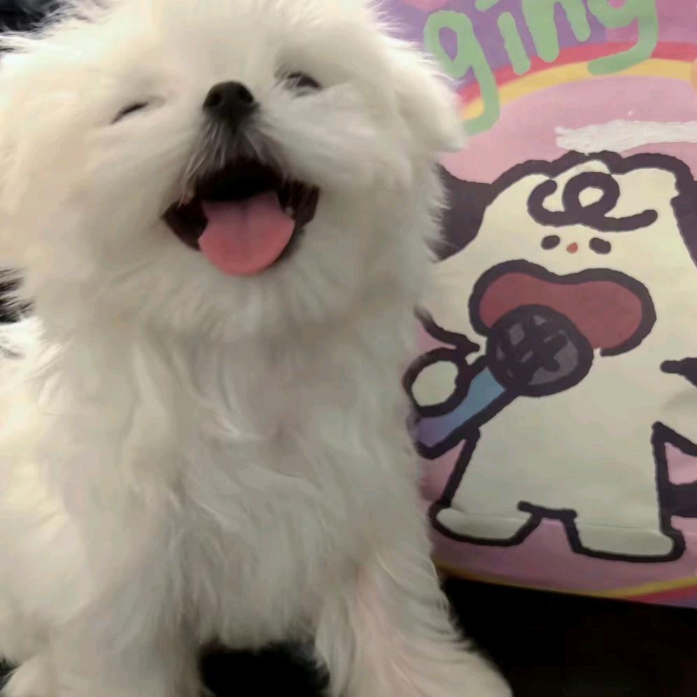 万马电缆(丰源街店)防守打法地方直播号