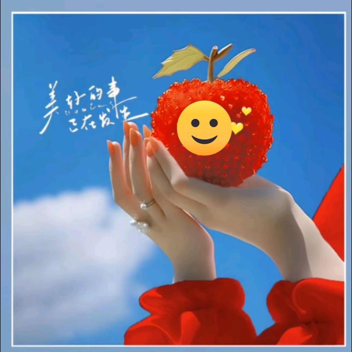 如愿以偿: