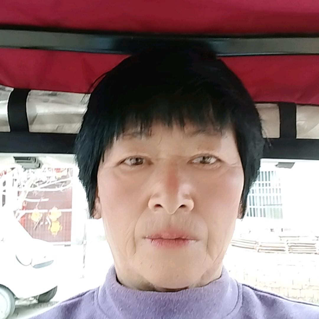 StZ(司天真)洋丰甜柿子种植