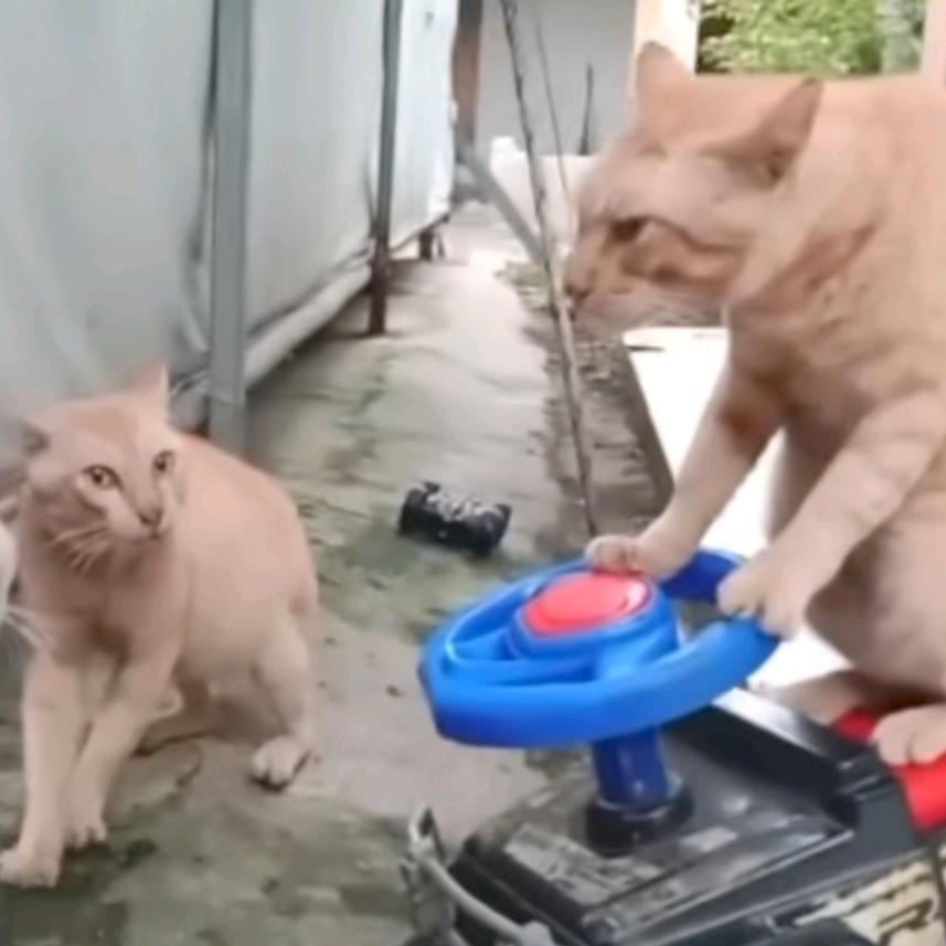 北瓜好甜🍉³²¹  生活号