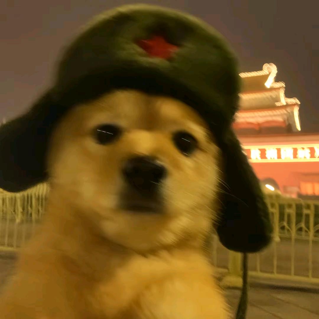 赵相机