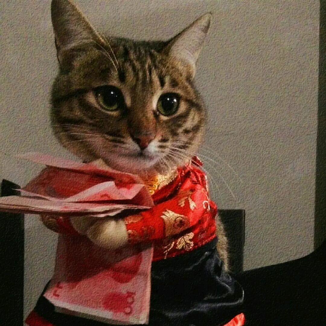 今晚吃什么ˀ̣ˀ̣