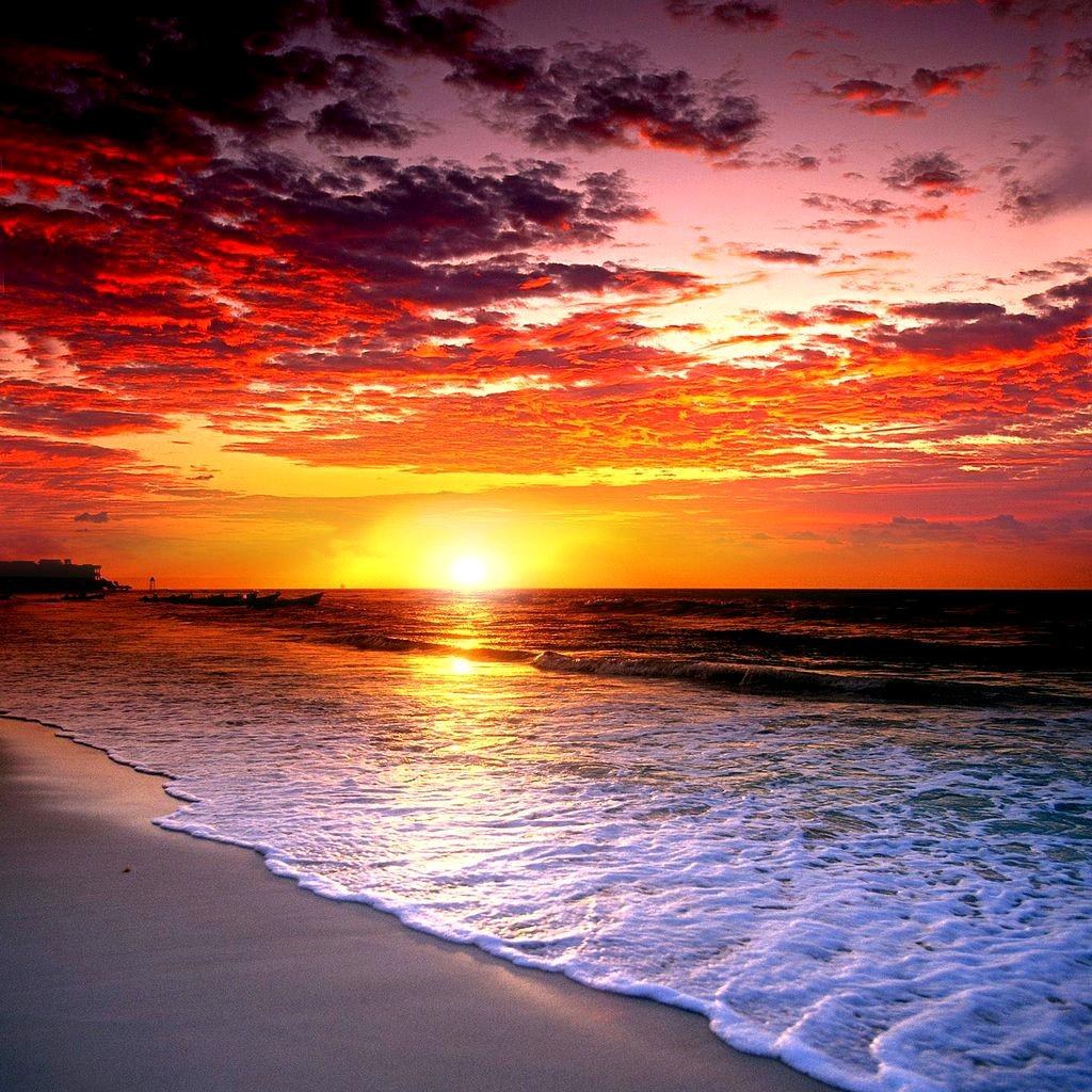 欢天喜地九个半