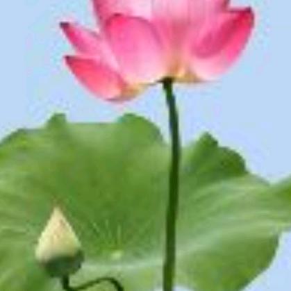 励德华姐企业号