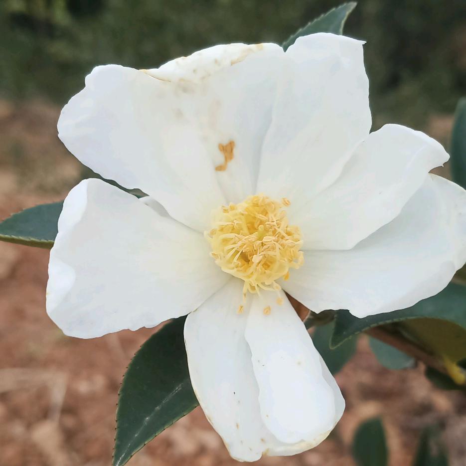 雨天，阴天，太阳天