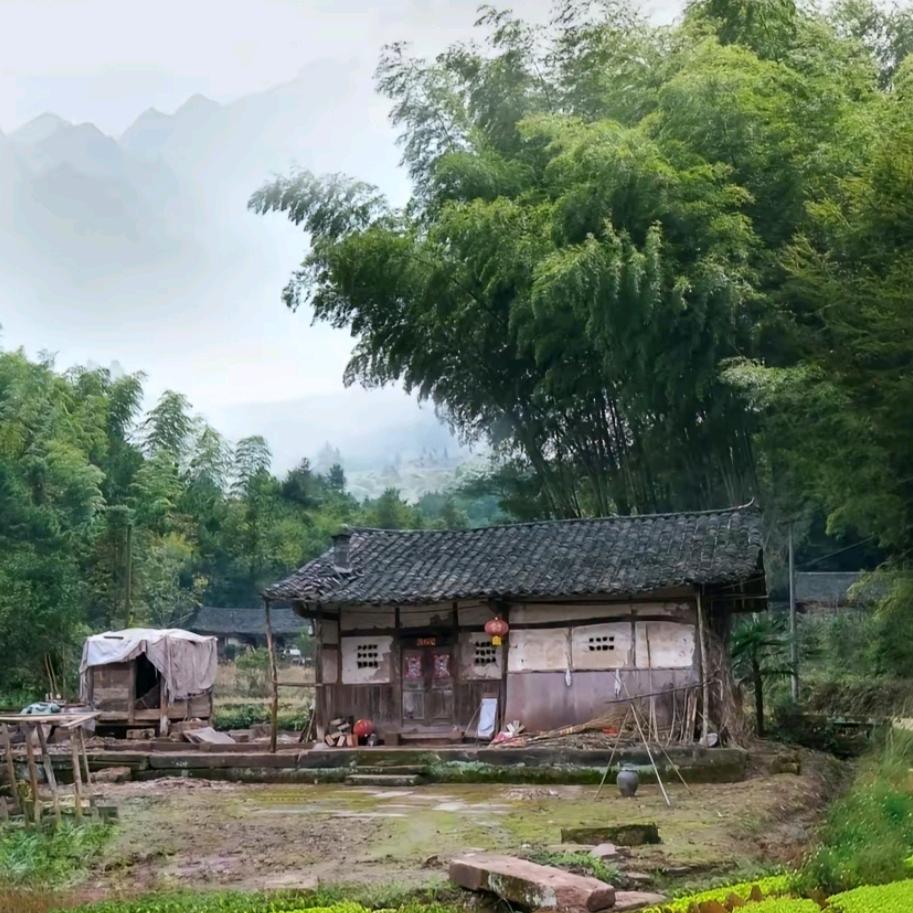 发哥