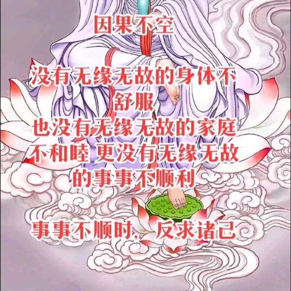 🐉道灵老母🪷（新概念）