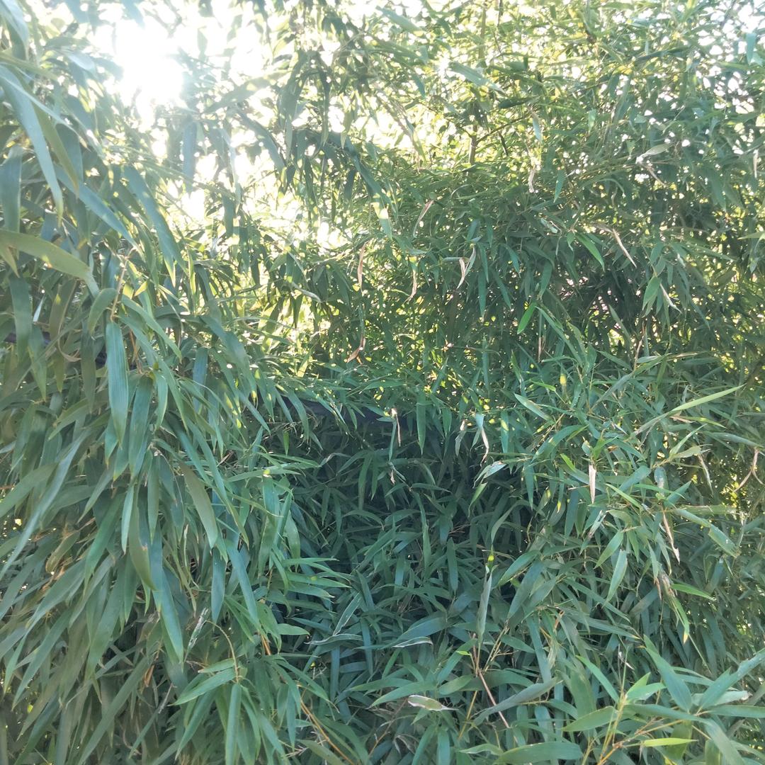 信·仰