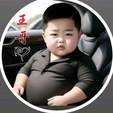 习惯