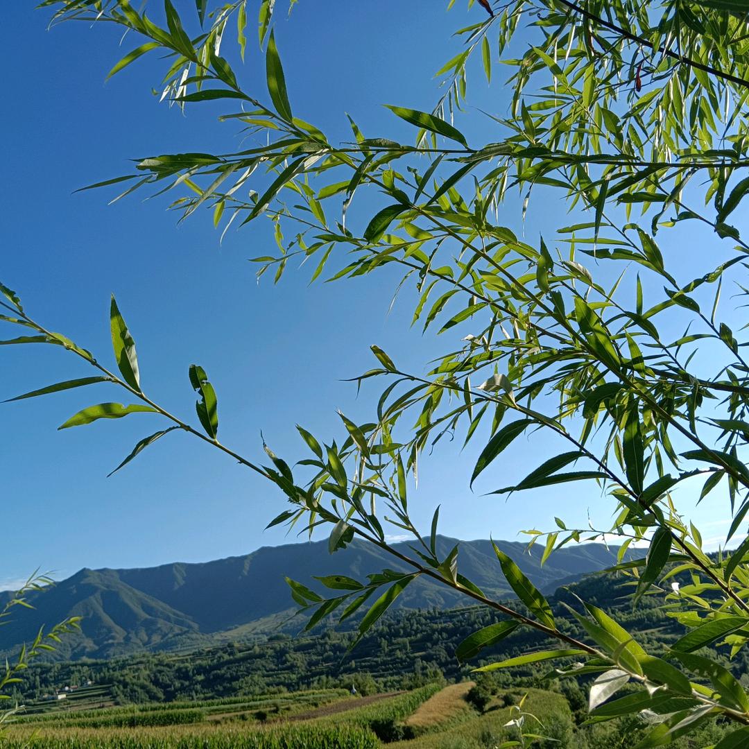 永领商贸小刘
