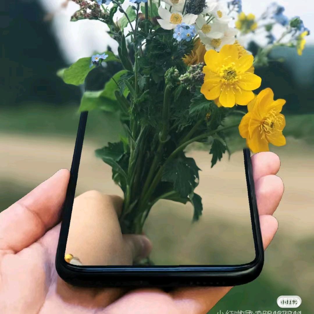 Re经理