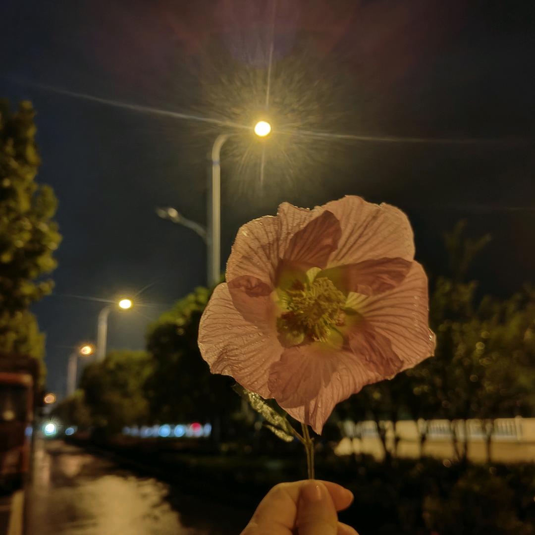 大眼睛的小姐姐