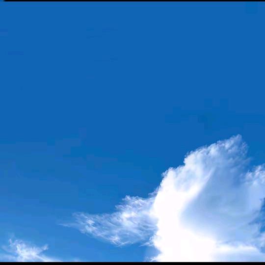 品牌厨电1号