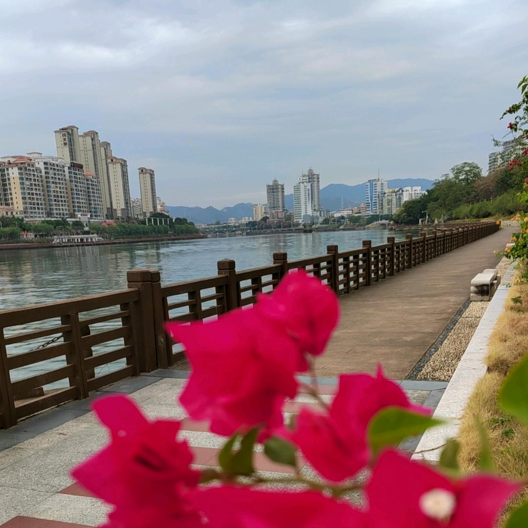 陈伟明