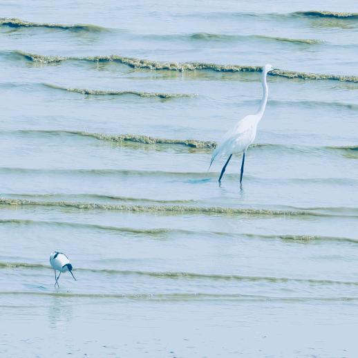醉后不知天在水