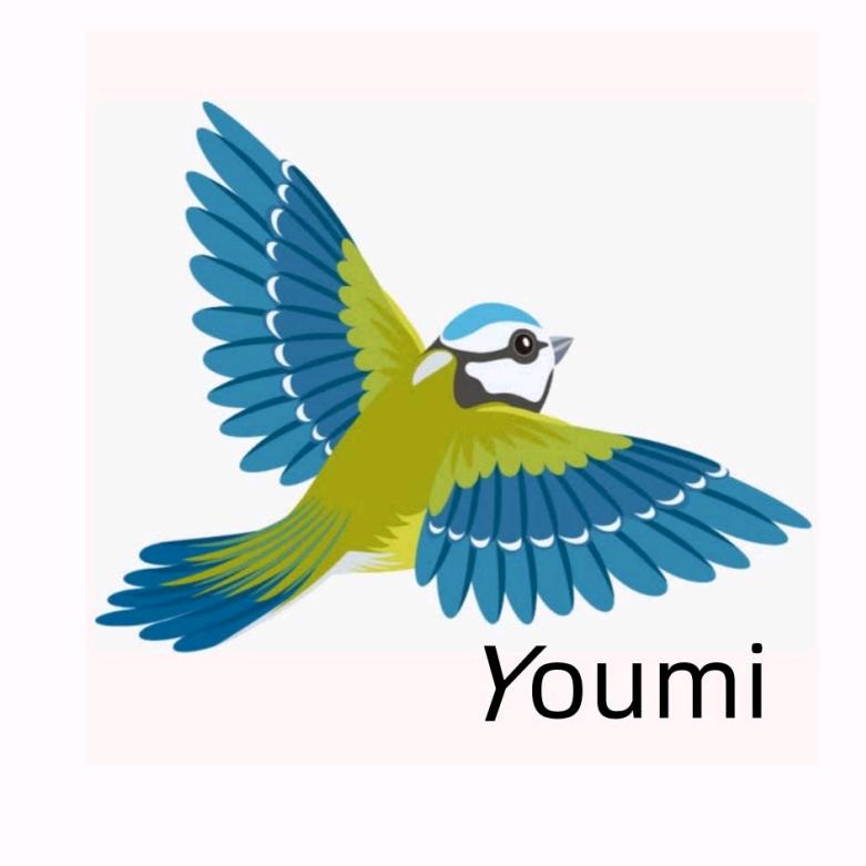 youmi内衣