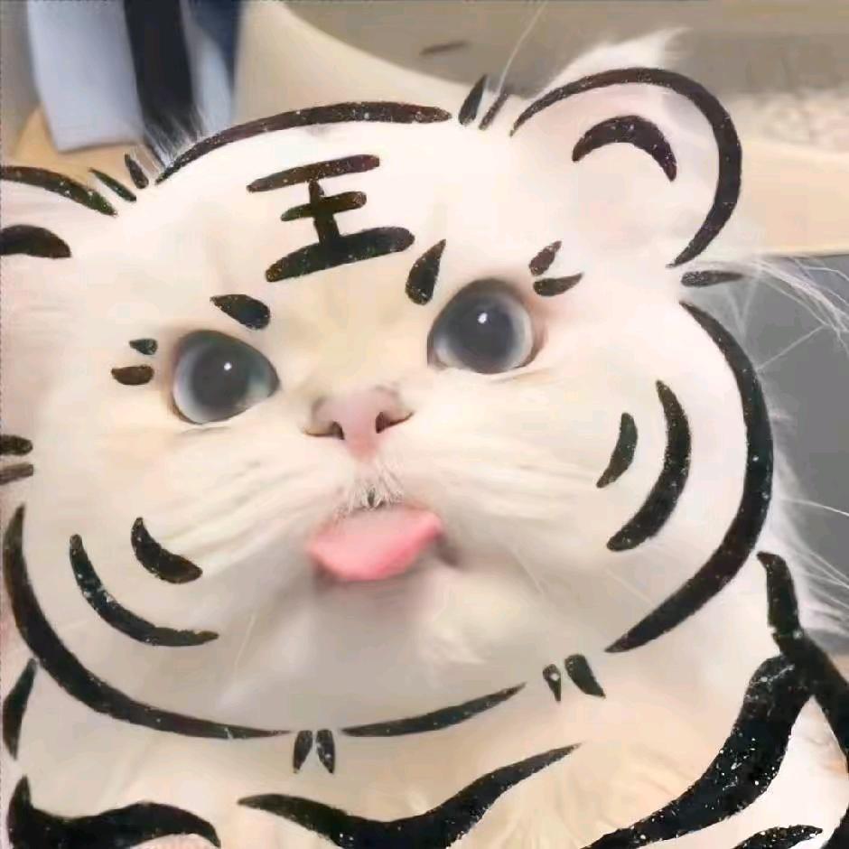 （W S Y）陈丢丢