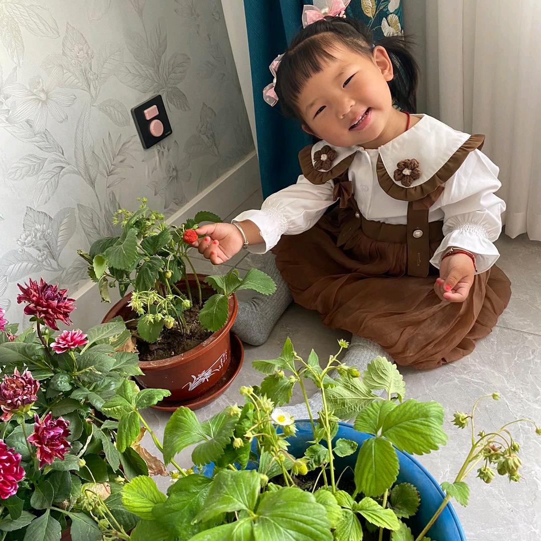 冯朵朵（冯朵朵小菜园）