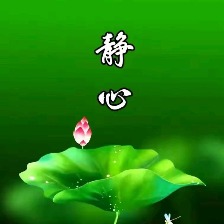 花茶