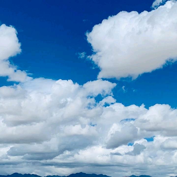 幸福人生🌻