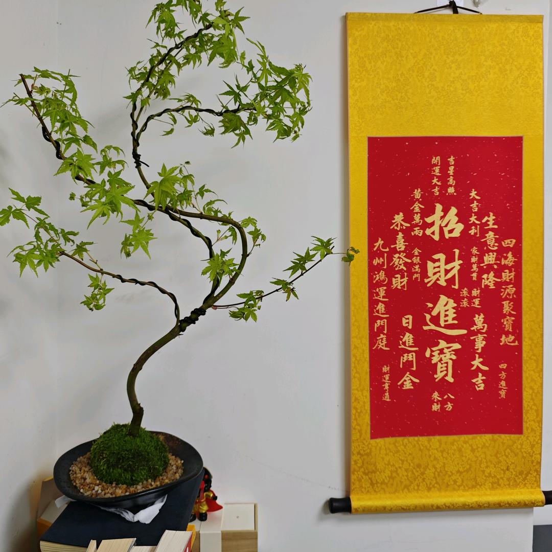 donggeyoucai