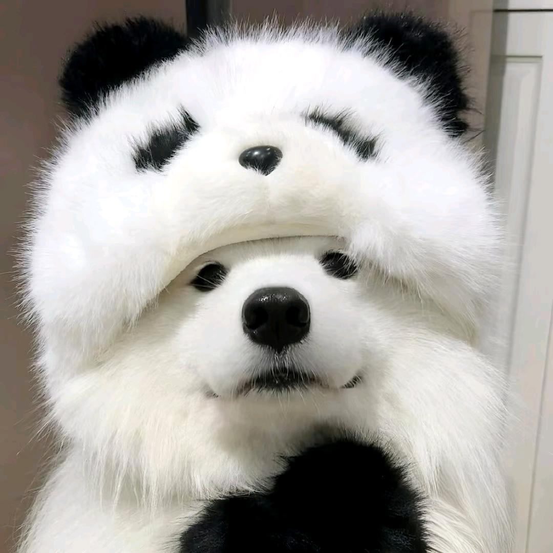 不孤单的脏脏包
