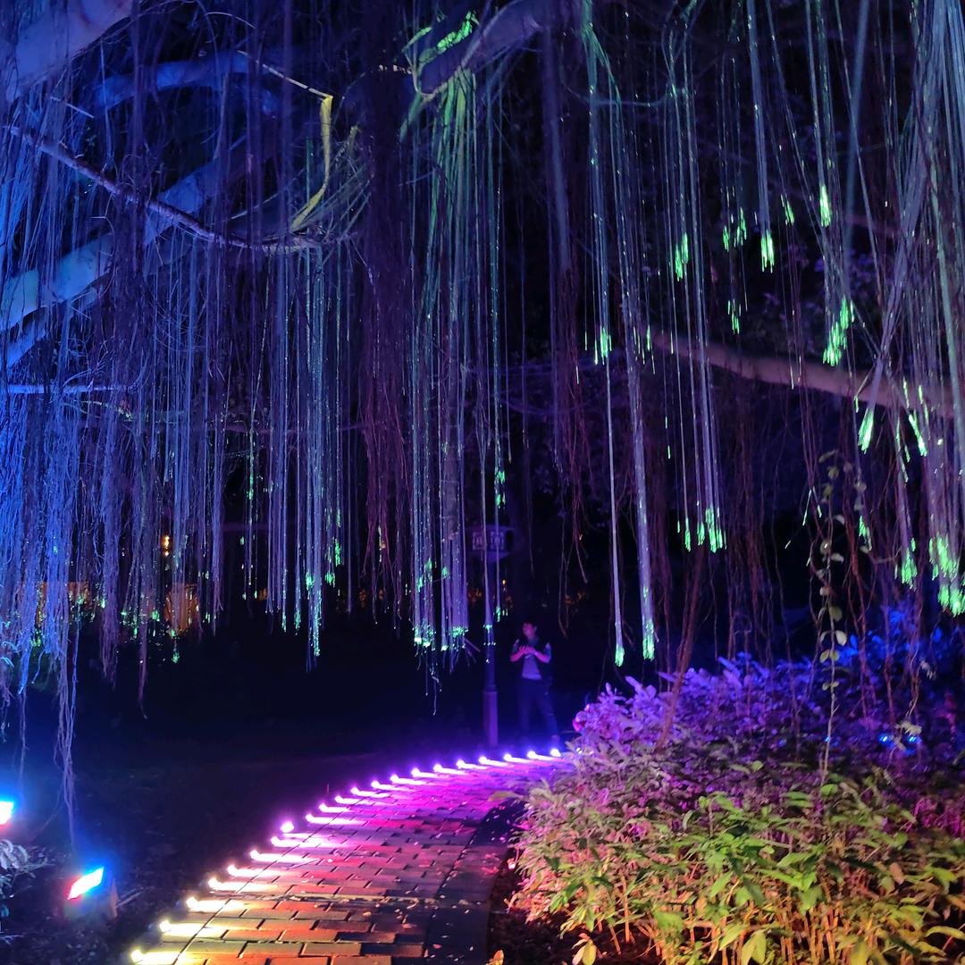 用户1626956410978背影