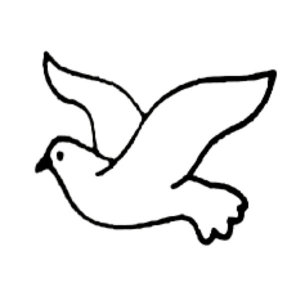 被火箭送上太空用地球做了两组飞鸟力竭而死