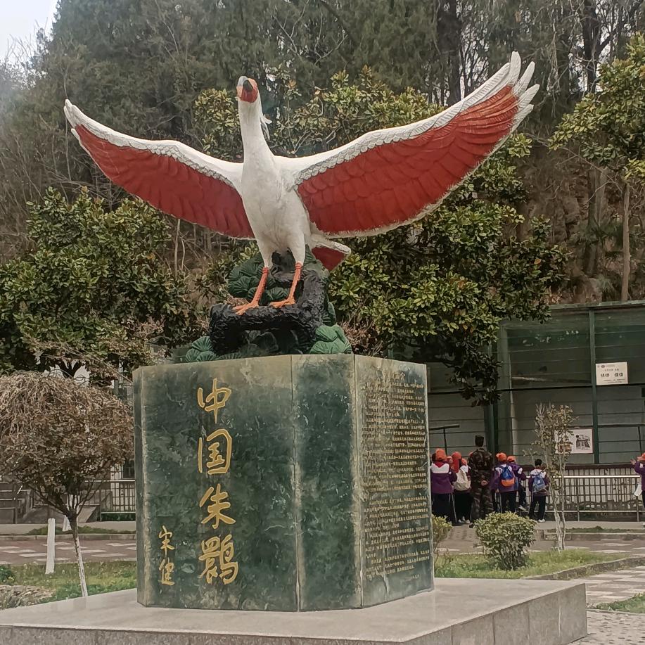 拥抱未來